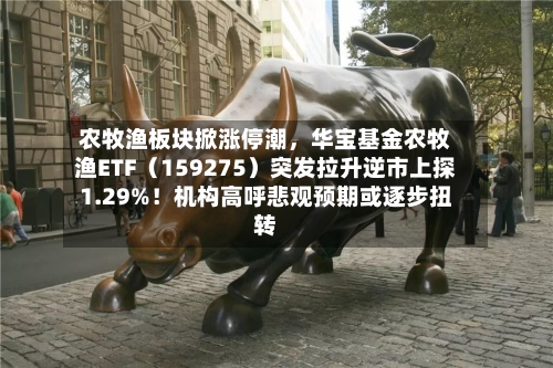 农牧渔板块掀涨停潮，华宝基金农牧渔ETF（159275）突发拉升逆市上探1.29%！机构高呼悲观预期或逐步扭转-第2张图片